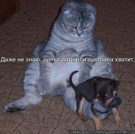 getImage (1).jpg