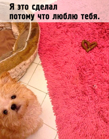 getImage[2].jpg