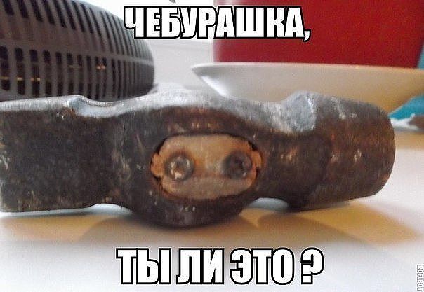 getImage[2].jpg