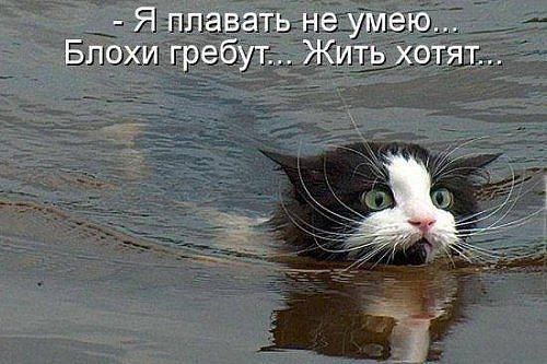 getImage[6].jpg