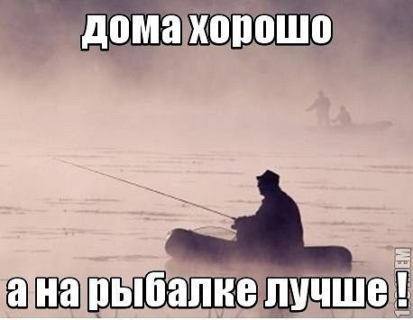 getImage047SVF3B.jpg