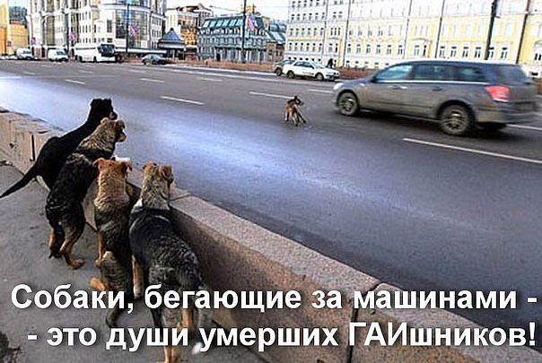 getImage3OV83Z5Q.jpg