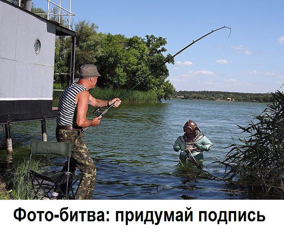 getImage3TP2V1F8.jpg