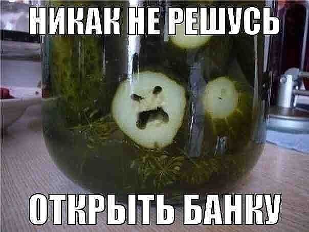 getImage6H2VVYV8.jpg