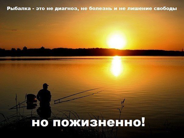 getImage6S5YPKCB.jpg