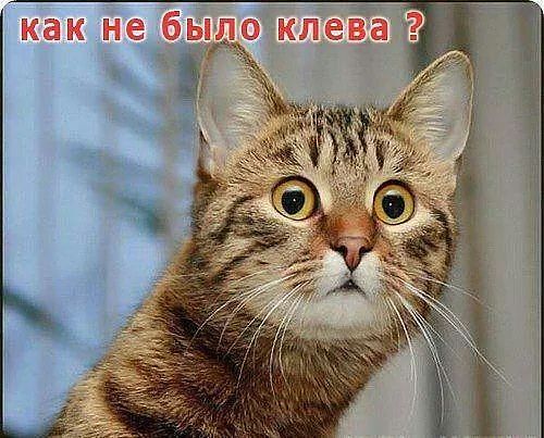 getImageAD6FGJLI.jpg