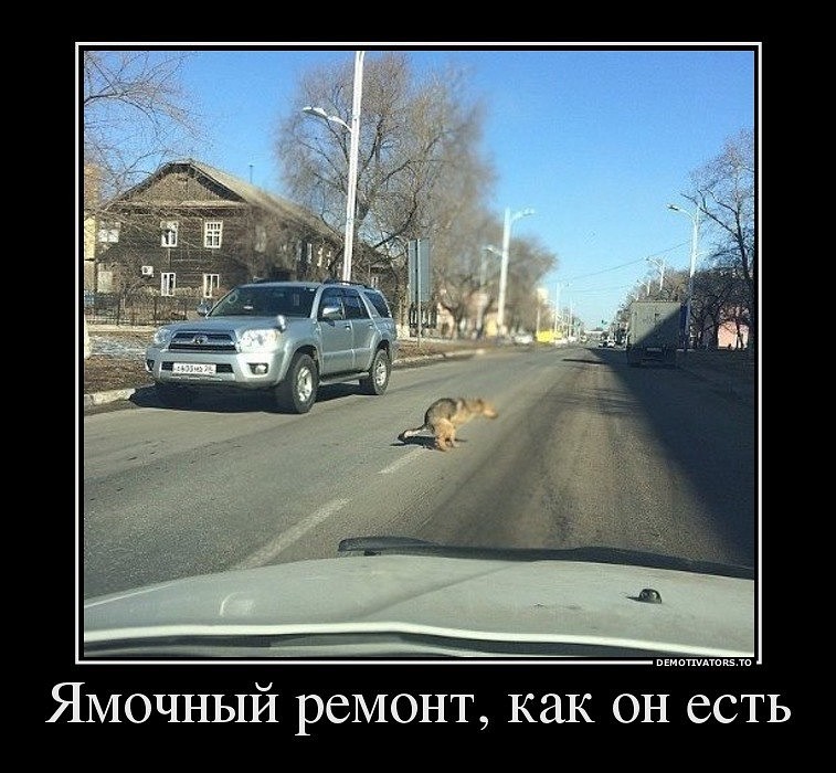 getImageдл.jpeg
