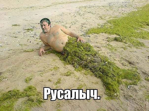 getImageG8HJ23ME.jpg