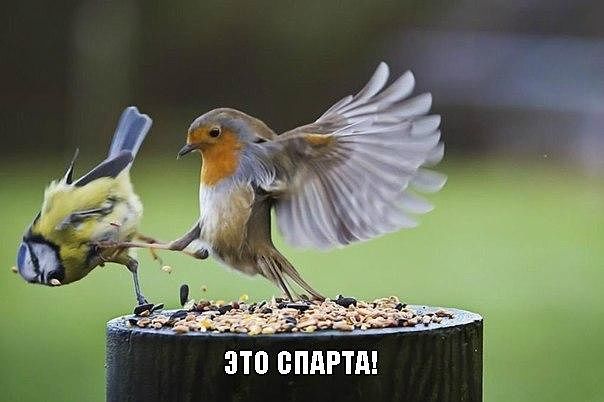 getImageJ35DO1XH.jpg