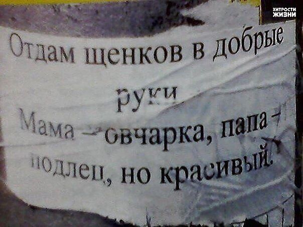 getImageпьбипр.jpeg