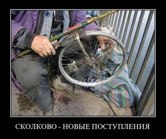 getImageQOH58KOV.jpg