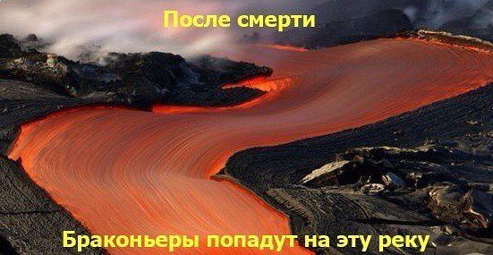 getImageQZ5V9F88.jpg