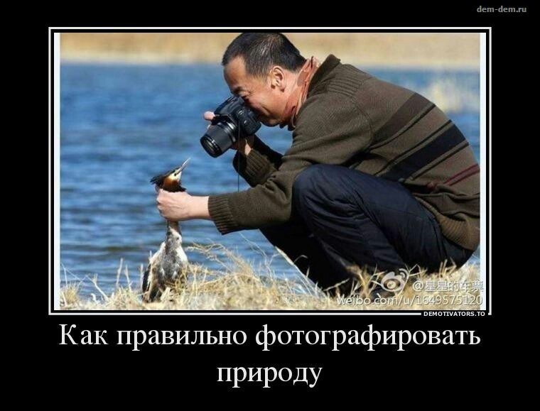 getImageьтр.jpeg