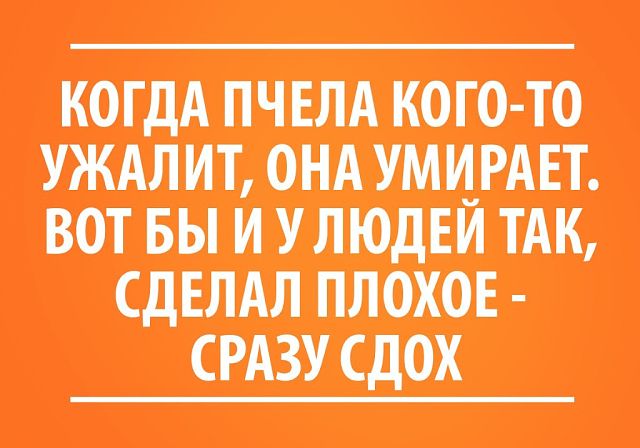 getImageX9Y6GZKV.jpg