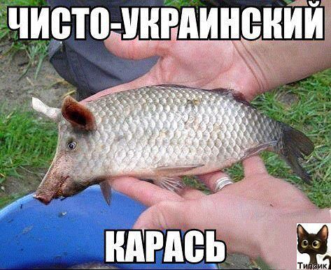 getImaлеge.jpg