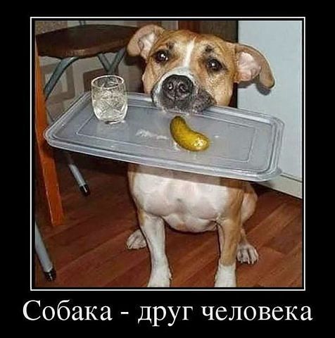 getImaлge.jpg