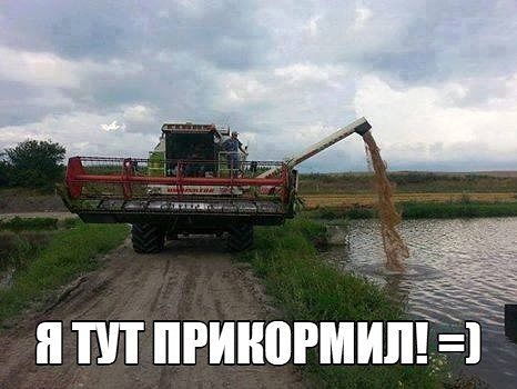 getImaлрge.jpg