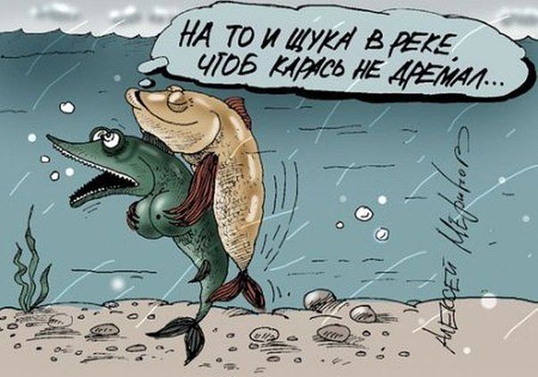 getImбage.jpg