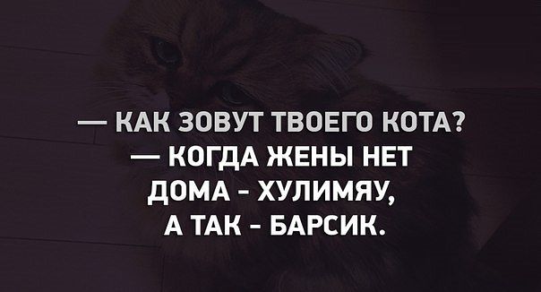 getImуage.jpg
