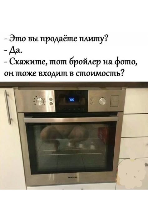 gfd.jpeg