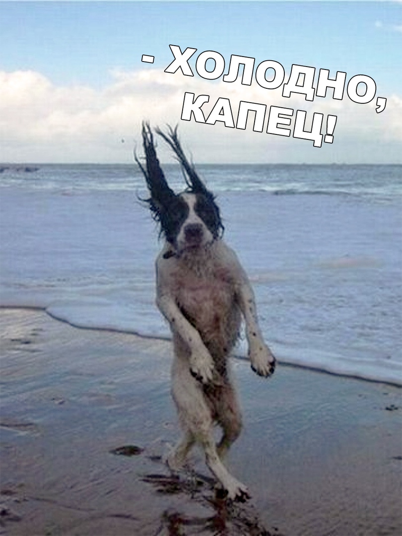 гффф.jpg