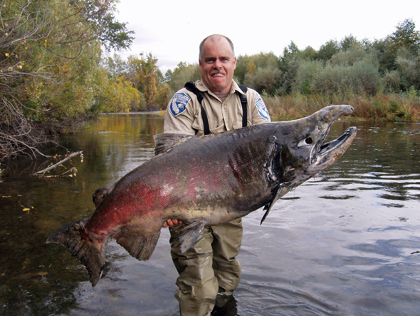 Giant-Sac-Salmon.jpg