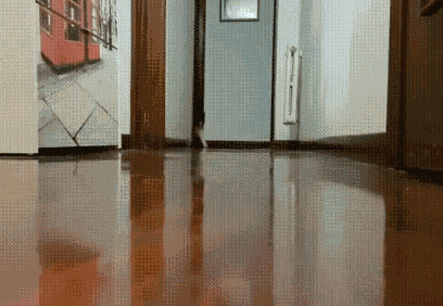 GIFKI.gif