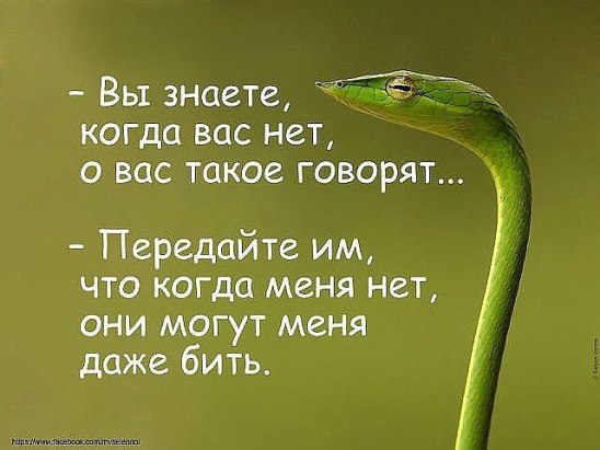 говорят.jpg