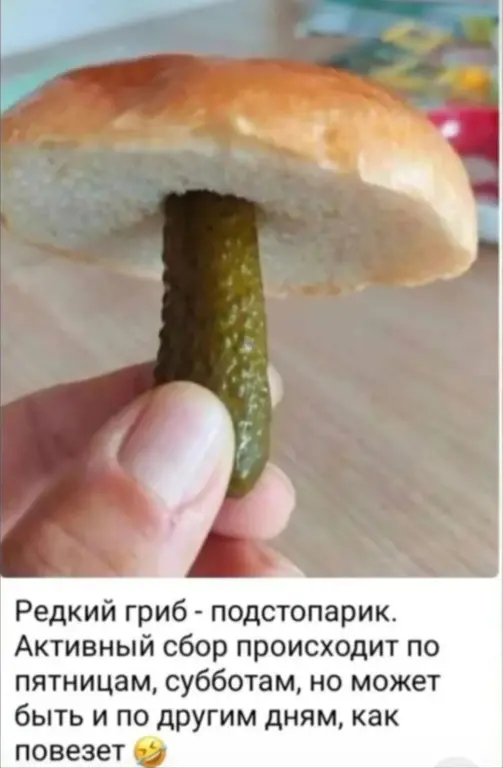 грр.png