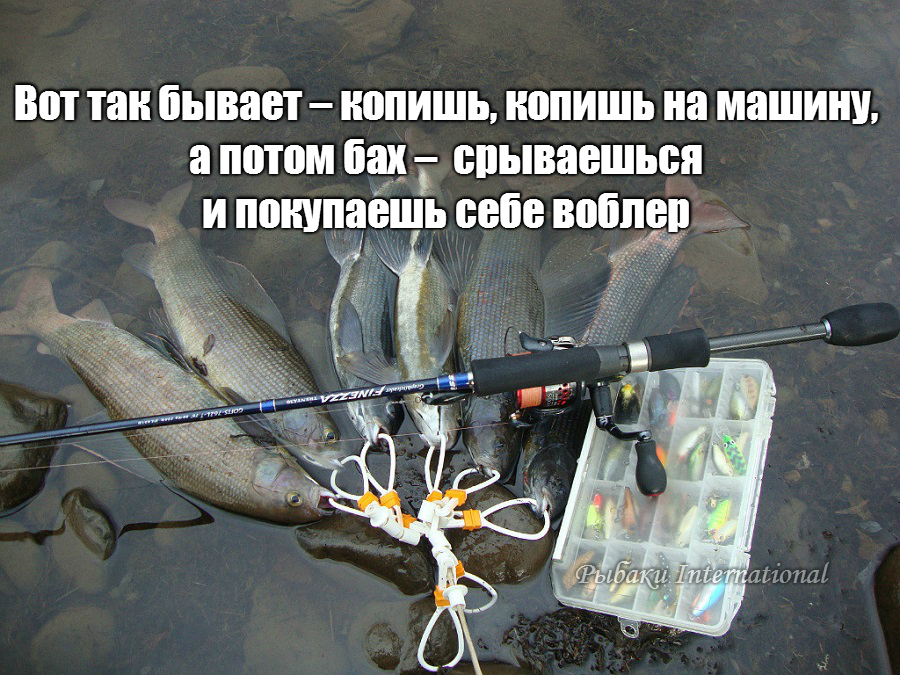 gсetImage.jpg