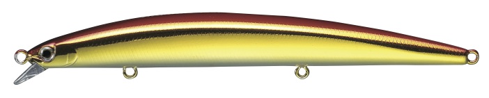 Haluka 125F 08.jpg