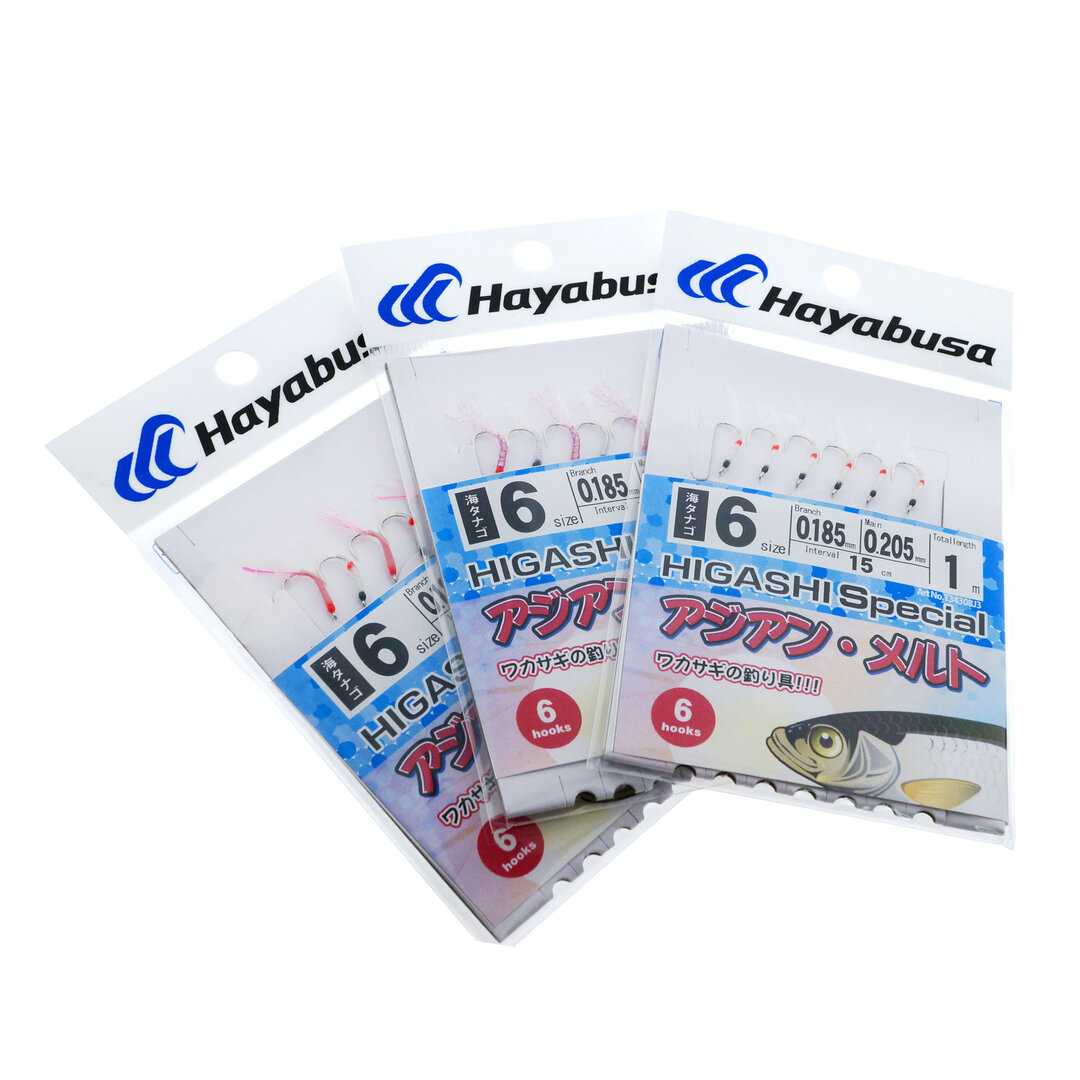 hayabusa-higashi-special-inst1.jpg