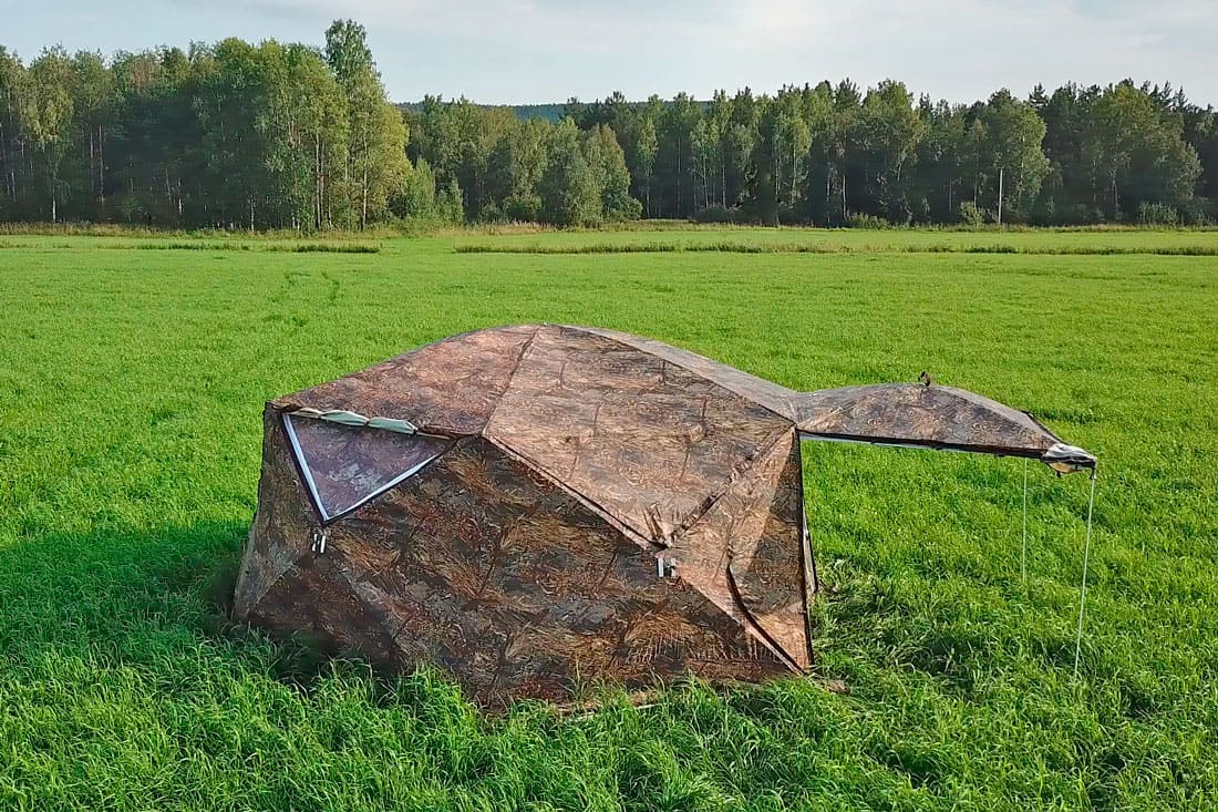 hexagon_leto-1100x733.jpg