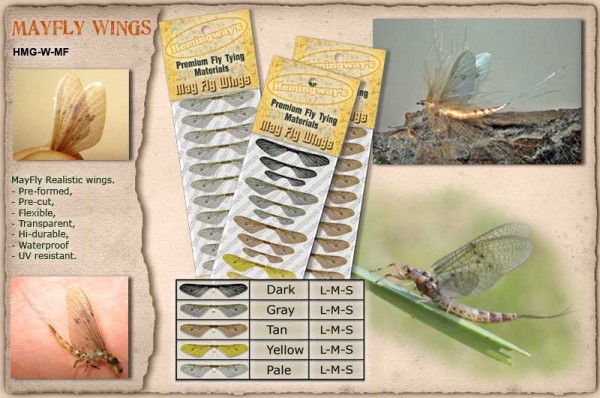hm_mayfly.600.jpg