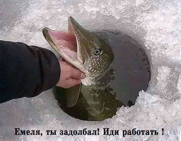 i.jpg