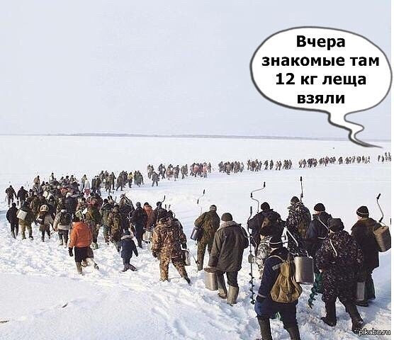 iапmage.jpg