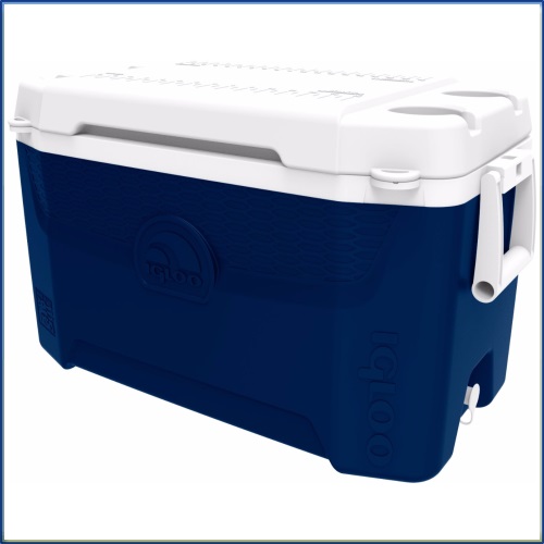 igloo_49268_lrg-500x500.jpg