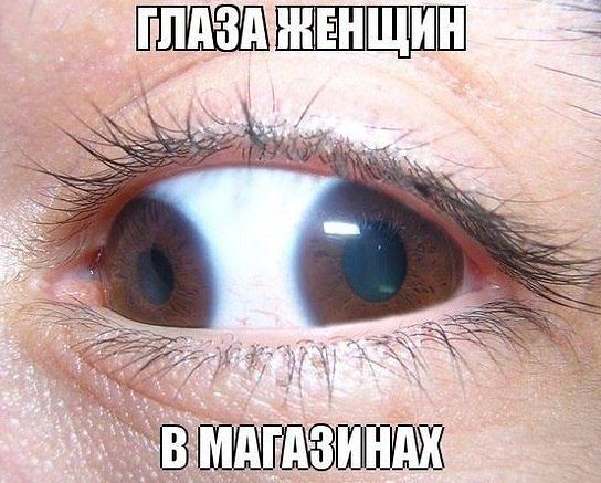 ima4ge.jpg