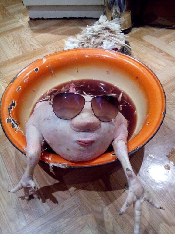 ima5ge.jpg