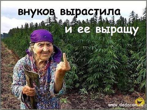 imaаge.jpg