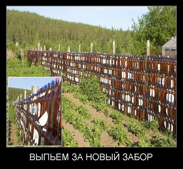 imaббge.jpg
