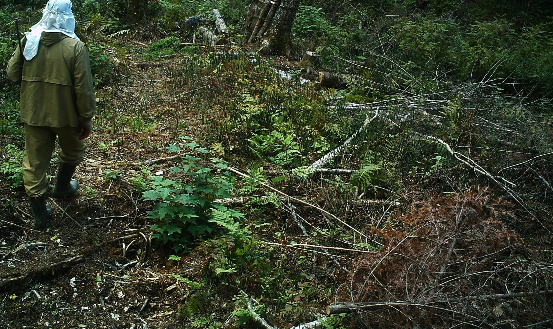 IMAG0043.jpg8.jpg