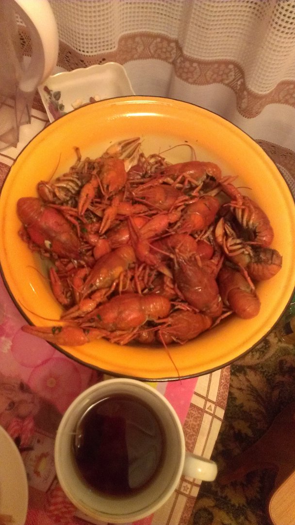 IMAG0235.jpg
