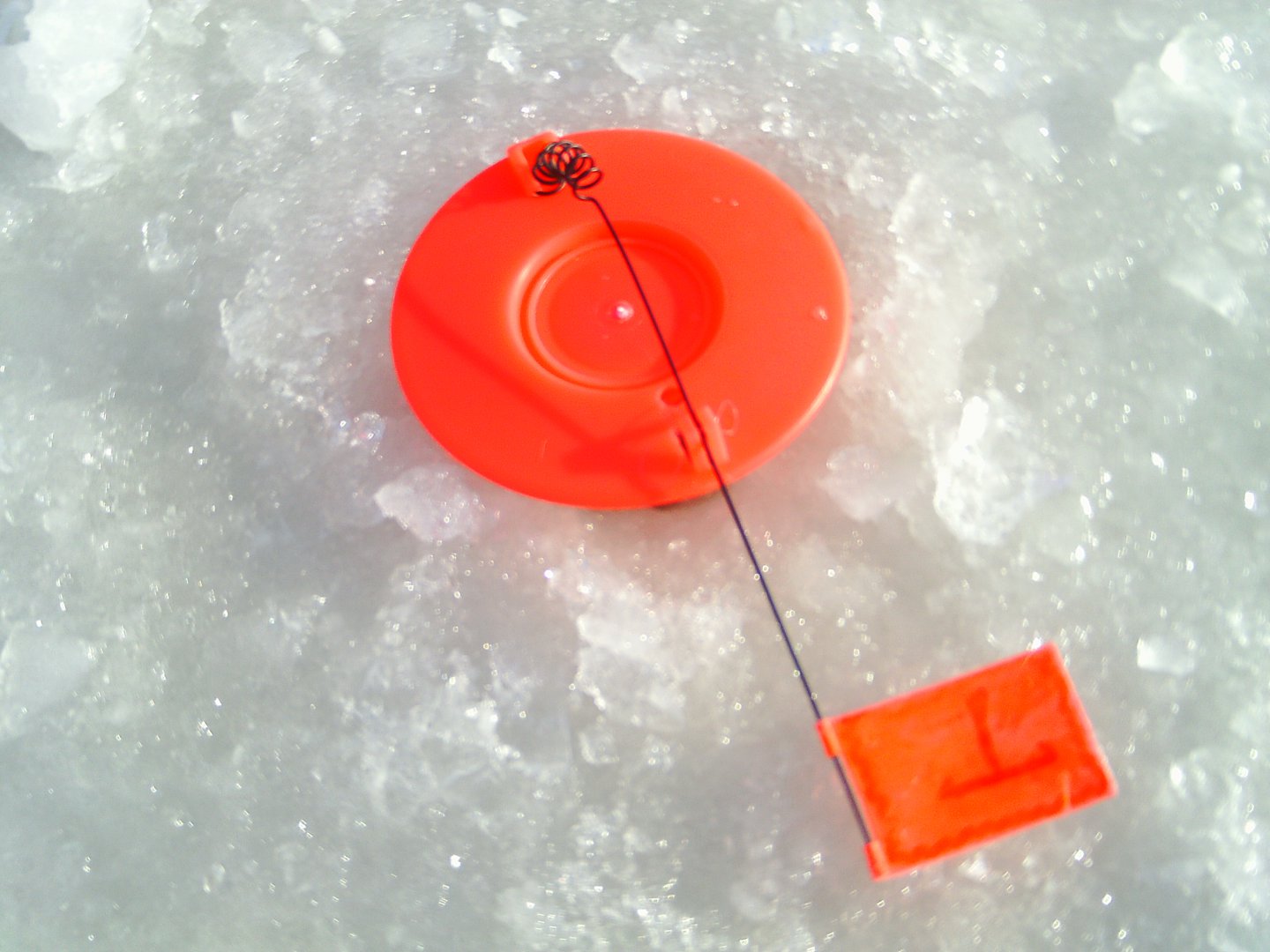 IMAG0395.JPG