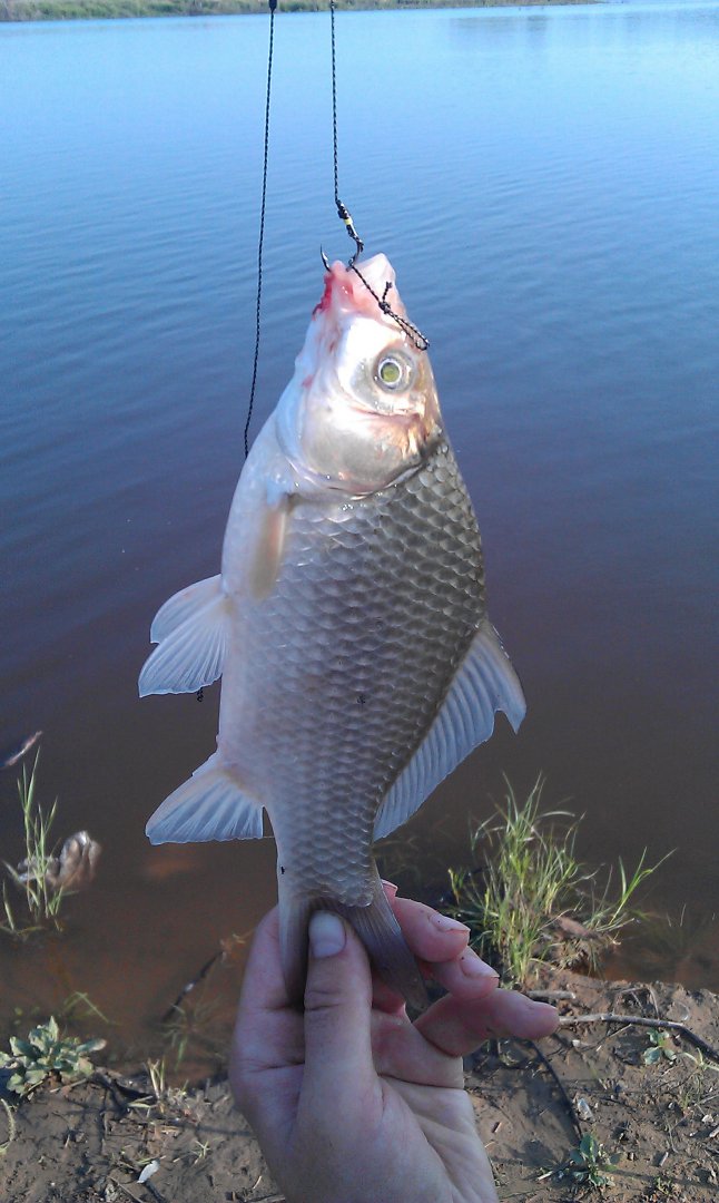 IMAG0442.jpg