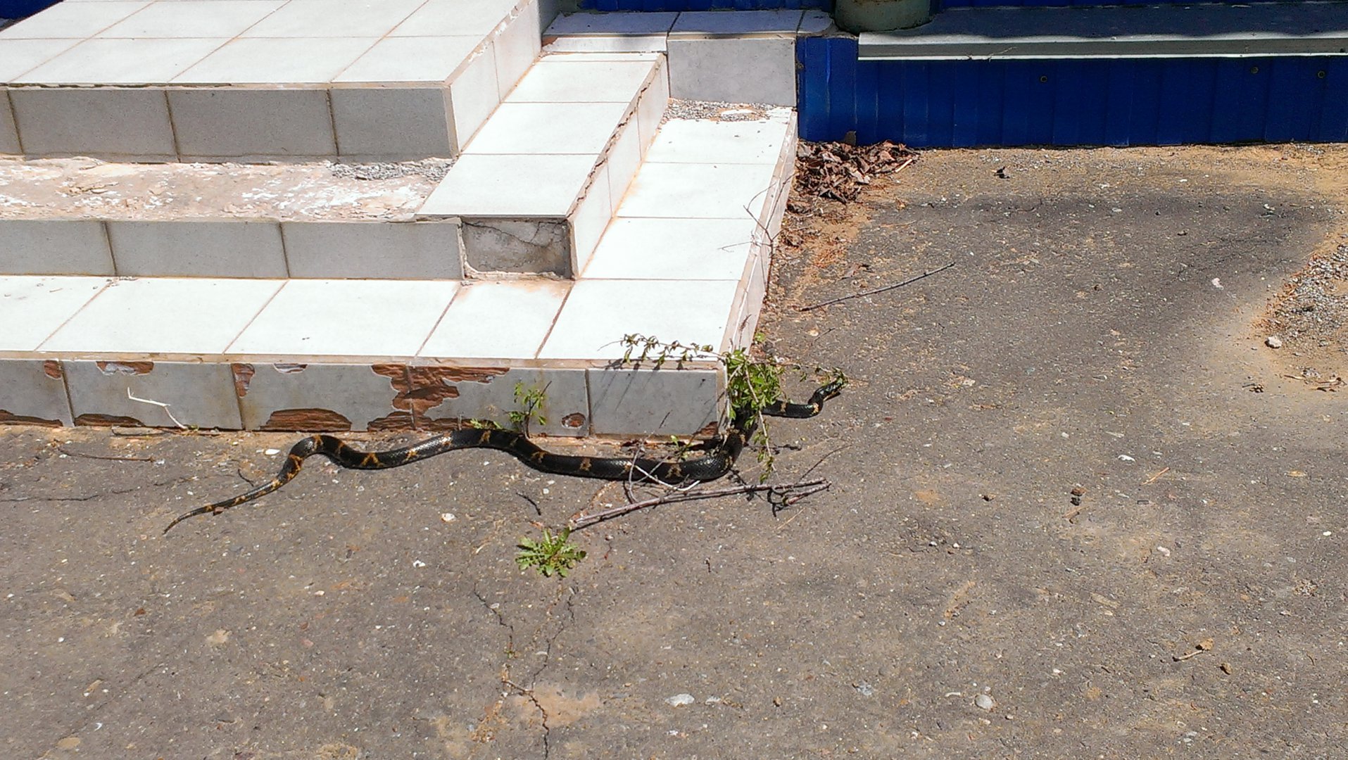 IMAG0656.jpg