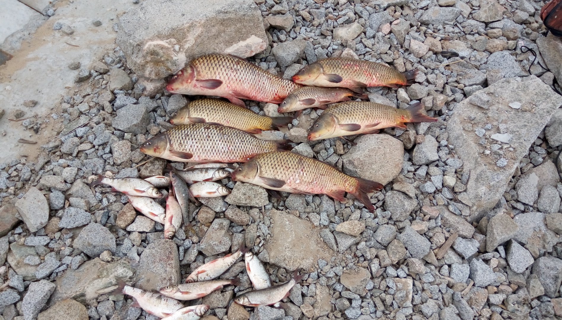 IMAG0713.jpg