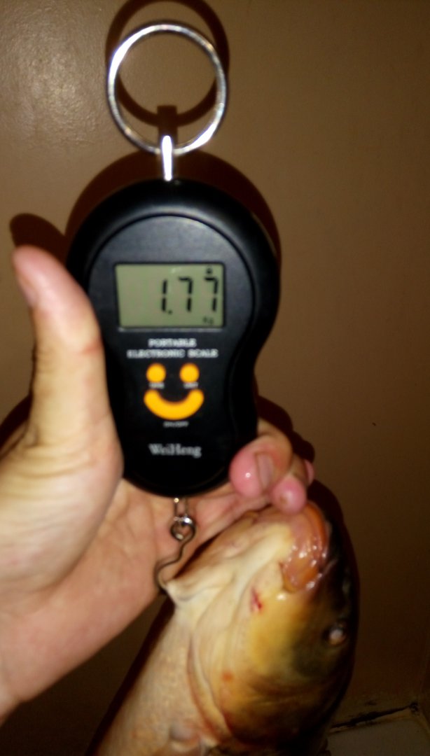IMAG0718.jpg