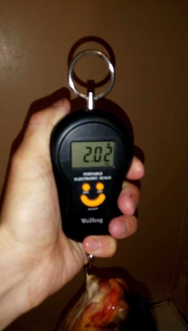 IMAG0721.jpg