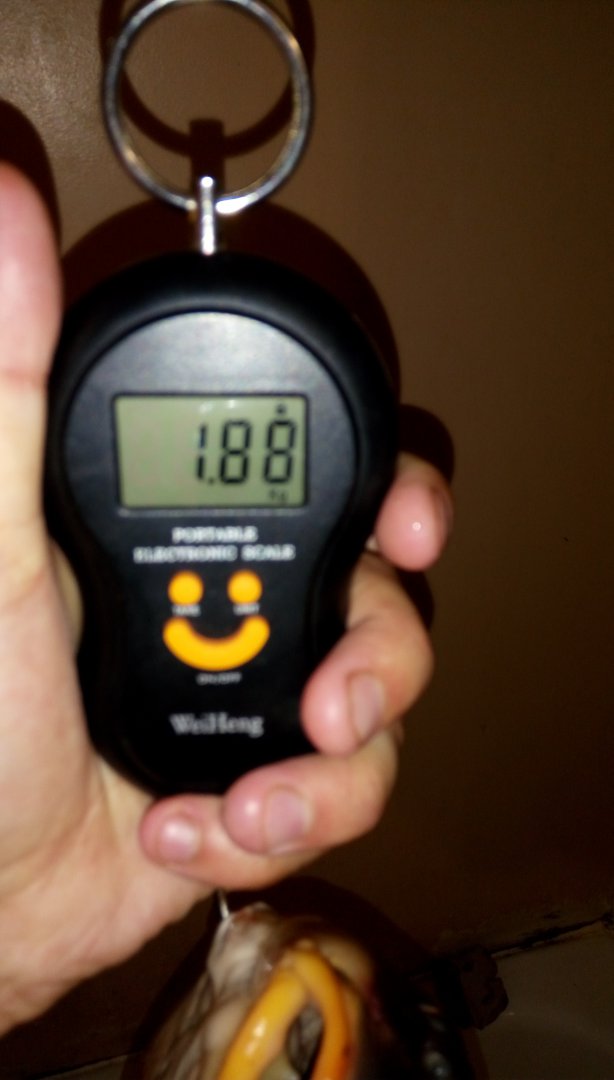 IMAG0722.jpg